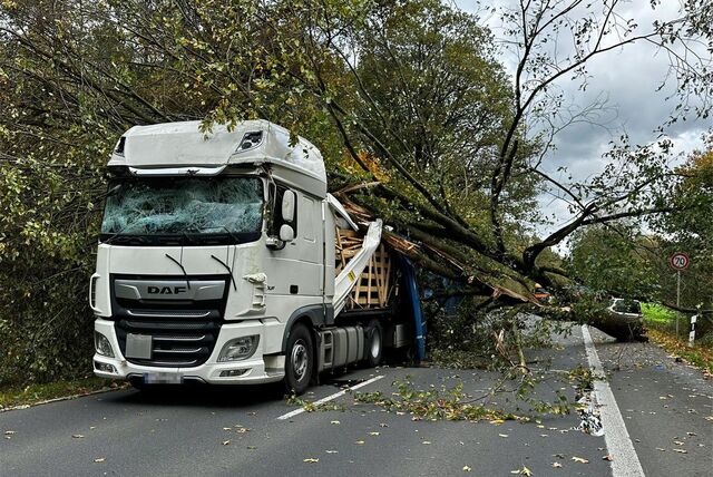 Auf der Weseler Straße ist am Donnerstag ein Baum auf Lkw gekracht.