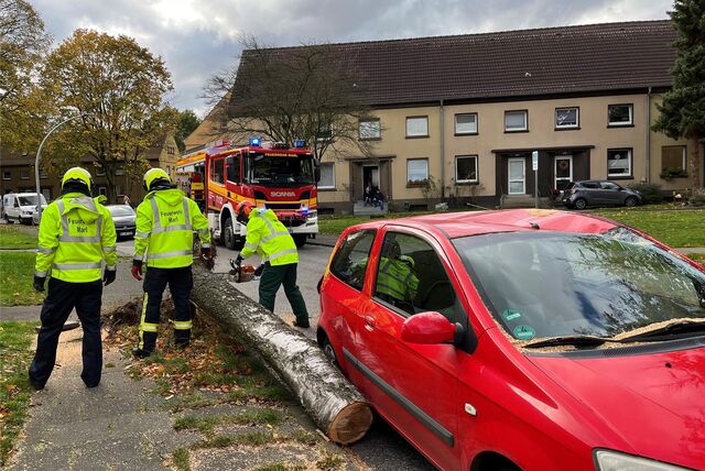 Feuerwehrleute zersägen einen umgekippten Baum.