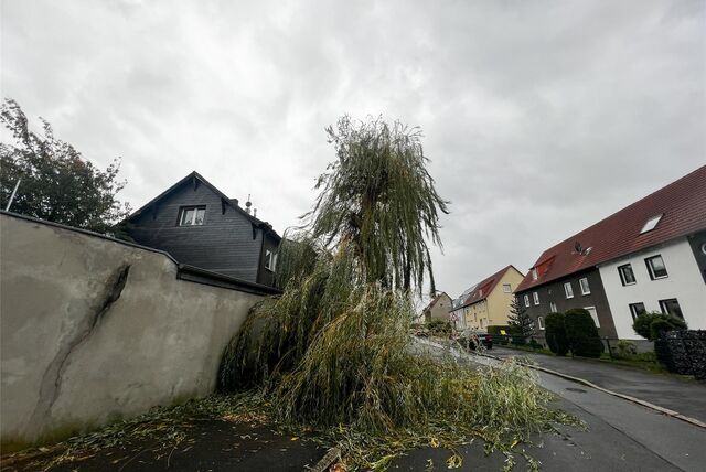 Das Sturmtief Emir zog am Donnerstag (2.11) über Dortmund und hinterließ seine Spuren- für das Wochenende gibt der Deutsche Wetterdienst Entwarnung.