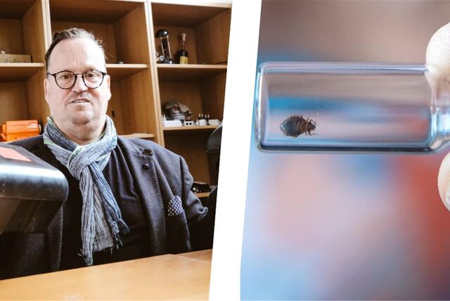 Links Schädlingsbekämpfer Martin Bettsteller, rechts eine Bettwanze in einem Reagenzglas