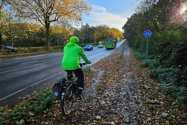 Der Radweg am Schweriner Berg in Castrop-Rauxel ist aufgrund der Laubdecke kaum zu erkennen