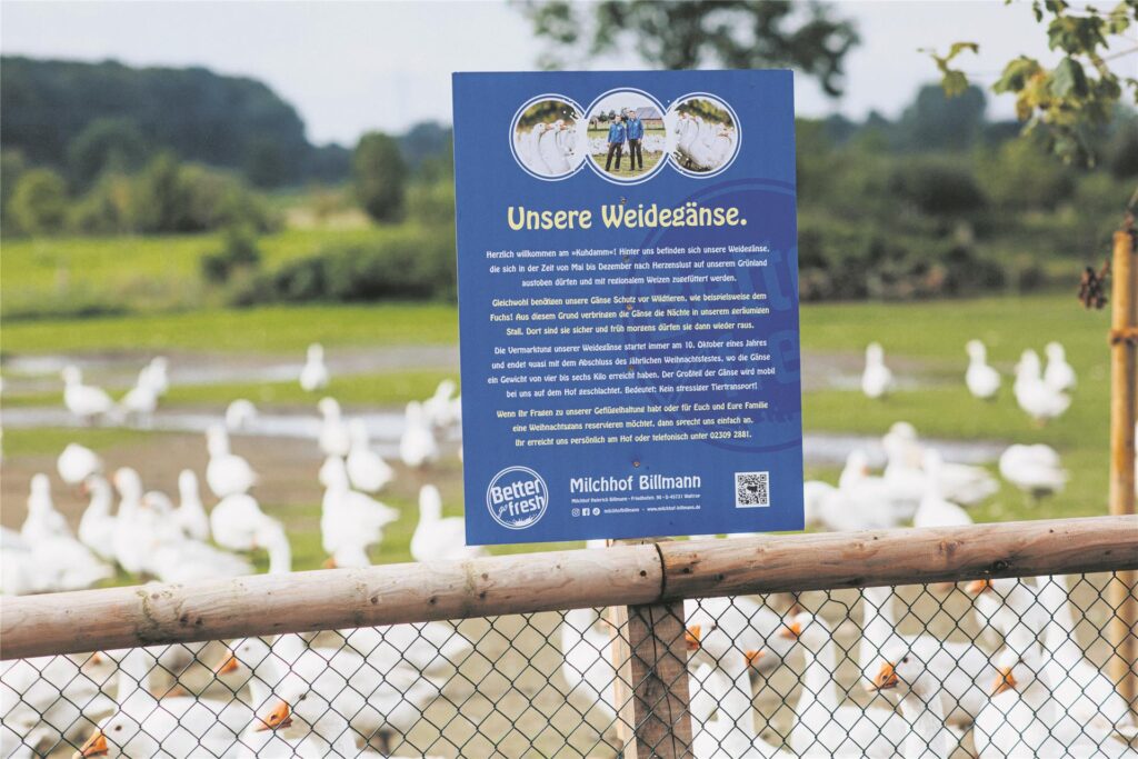 Ein Hinweisschild an der Gänseweide. Ein Hinweisschild an der Gänseweide.