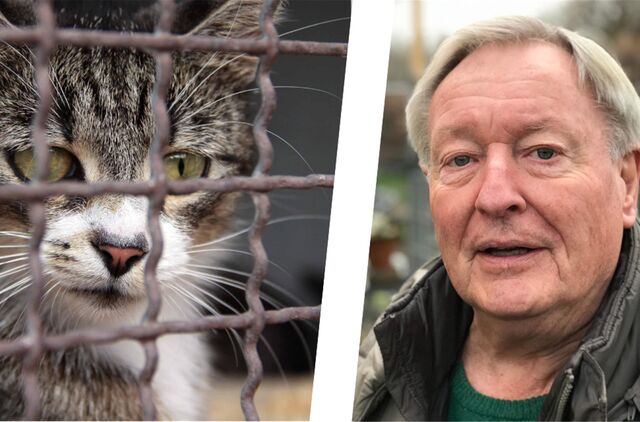 Johannes Beisenherz, Vorsitzender des Tierschutzvereins Castrop-Rauxel, ist immer wieder mit Kritik konfrontiert. 2022 ging es gegen Kritiker sogar vor Gericht.