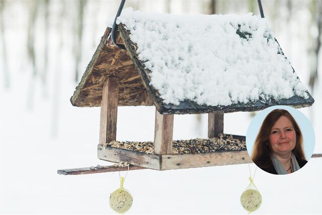 Gefülltes Vogelhaus im Winter.