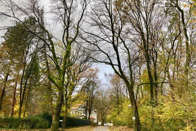 Die Rosskastanienallee zwischen Dortmunder Straße und Zechenwald