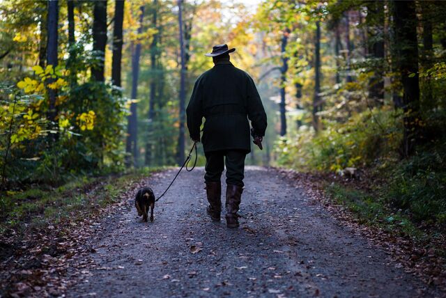Ein Mann in Jagdkleidung geht über einen Waldweg und führt einen Hund an der Leine.