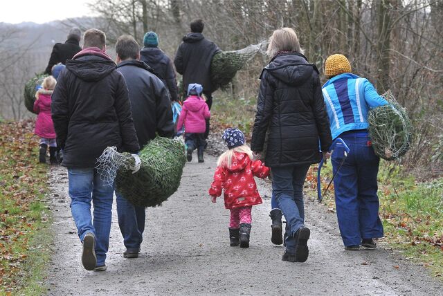 Das Baumschlagen im Grutholz war immer beliebt. Hier holten 2019 Familien ihre Weihnachtsbäume aus der Schonung.