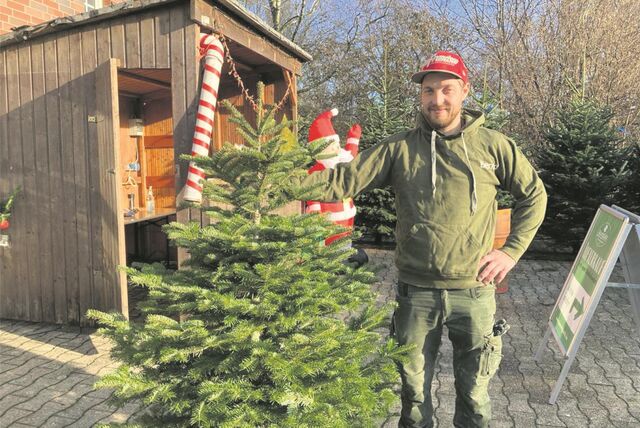 Ein junger Mann mit Christbaum in der Hand.