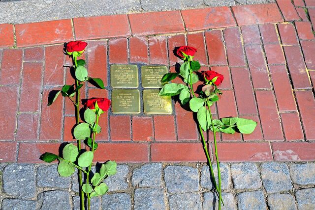 Neben vier Stolpersteinen liegen Rosen