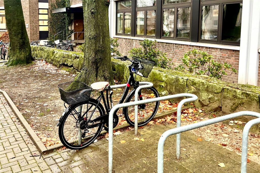 Eine unscheinbare Mauer vor dem Petrinum-Neubau