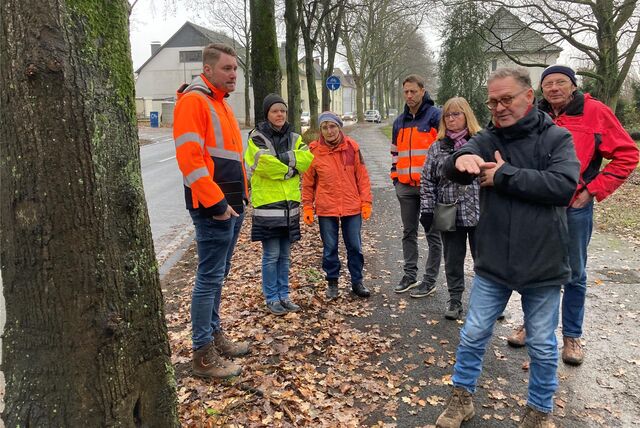 Beim Ortstermin an der Hülsstraße erklärt der ehemalige Baumkontrolleur Detlef Faustmann (2.v.r.), warum diese Linde nicht gefällt, sondern erhalten werden sollte. (v.l.) Felix Laukamp (ZBH), Ursula Hölter-Saße (Kreis), Erika Gebauer (NABU), Christoph Duschynski (ZBH), Elke Richters und Erwin Gebauer (beide NABU) hören zu.