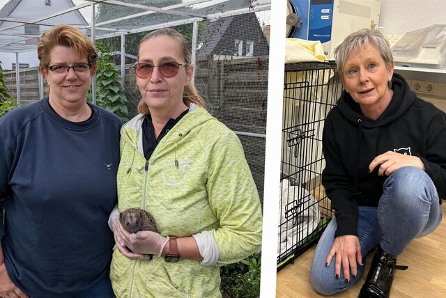 Karina Timmer, Simone Paul-Urff von der Dorstener Igelhilfe und Conny Sander vom Verein Streunerkatzen Dorsten blicken auf ein anstrengendes Jahr 2023 zurück.
