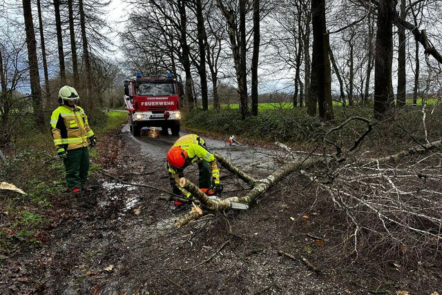 Ein Baum liegt auf einer Straße. Ein Feuerwehrmann zerschneidet den Baum mit einer Kettensäge.