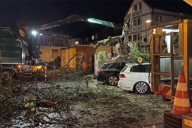 Auf dem Parkplatz am Südwall ist wegen des Sturms am Donnerstagabend (21.12.) ein großer Baum umgestürzt und hat mehrere Autos unter sich begraben.