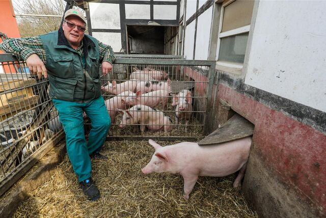Ulrich Dingebauer steht in dem mit Stroh bedeckten Außenbereich des Schweinestalls.