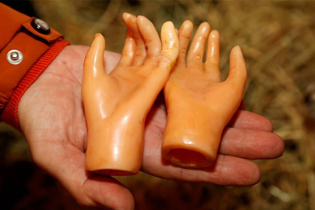 Die aus Wachs geformten Hände sind sehr zerbrechlich. Einem Hirten fehlen zum Beispiel zwei Finger. Der Orden will hier zum Dank für die Leihgabe alsbald für Abhilfe sorgen. Die aus Wachs geformten Hände sind sehr zerbrechlich. Einem Hirten fehlen zum Beispiel zwei Finger. Der Orden will hier zum Dank für die Leihgabe alsbald für Abhilfe sorgen.