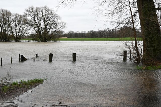 Die Lippe in Dorsten führt derzeit sehr viel Wasser wegen der anhaltenden Regenfälle.