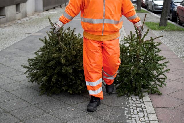 Ein Mann in orangefarbener Arbeitskleidung läuft über einen Bürgersteig. In beiden Händen zieht er kleine Tannen hinter sich her. (Symbolbild)