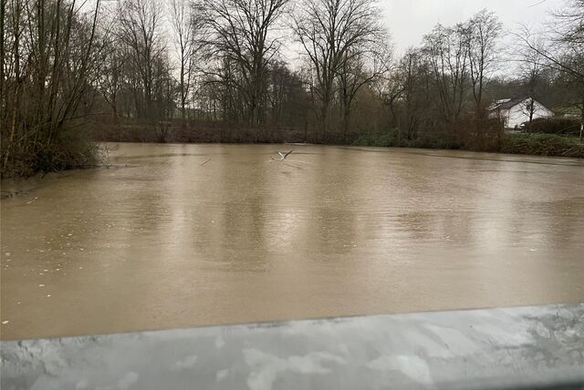 Am Mühlenteich und Mühlenbach in Frohlinde ist der Wasserstand am 4.1.2024 hoch.