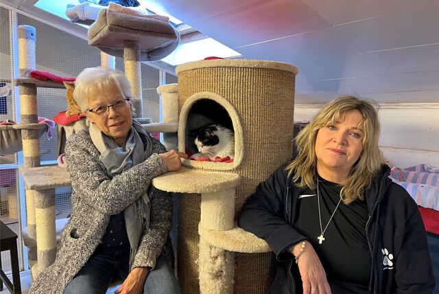 Um rund 100 Katzen kümmern sich die Ehrenamtlichen am Katzengnadenhof. (v.l.n.r.: Silvia Berger-Bergedick, Anja Busch).