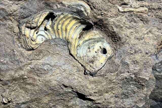 perlboot in der kluterthöhle