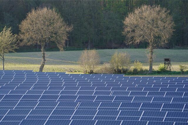 Solarmodule auf einer Freifläche (Symbolbild).