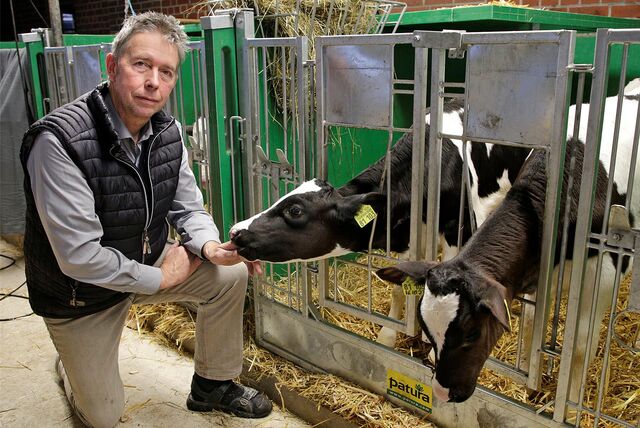 Landwirt Georg Schulte-Althoff vor zwei Kälbchen im Kuhstall