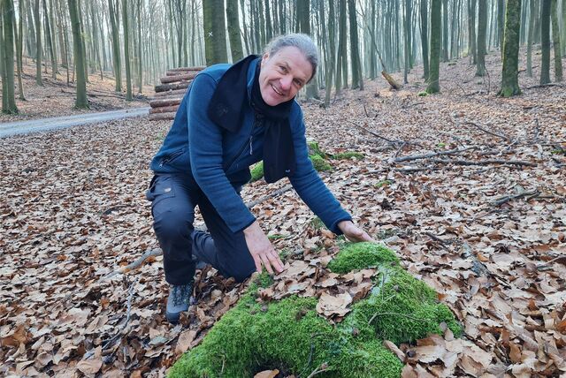 Förster im Wald