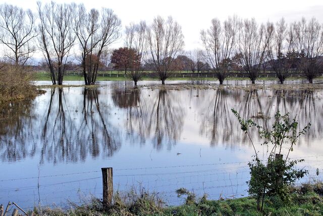 Hochwasser an der Papenbrückstraße.