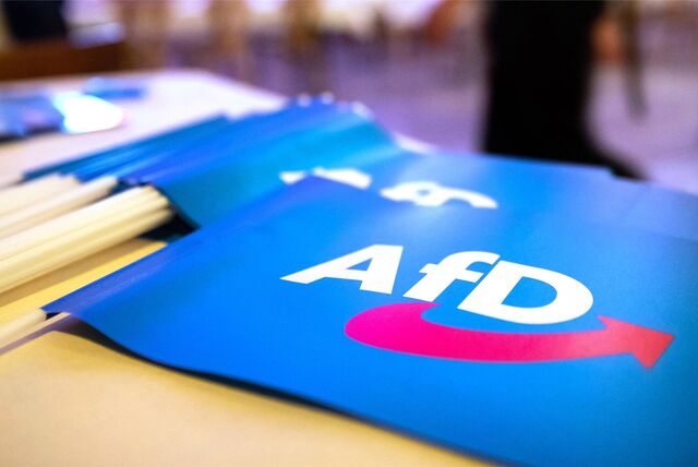Fahnen der AfD