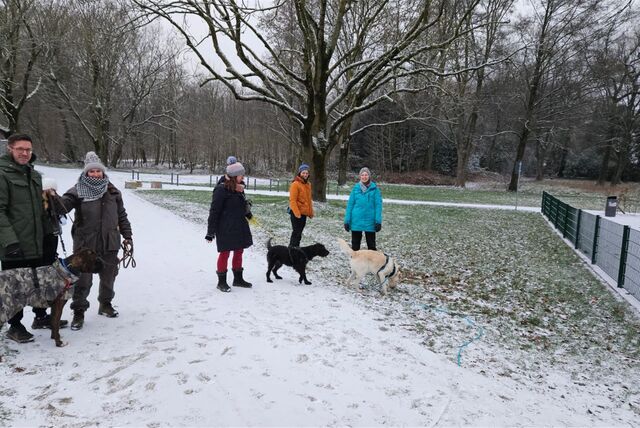 Ein Eiskristall, Teil von frisch gefallenen Schneeflocken, liegt auf einem Schneehaufen.