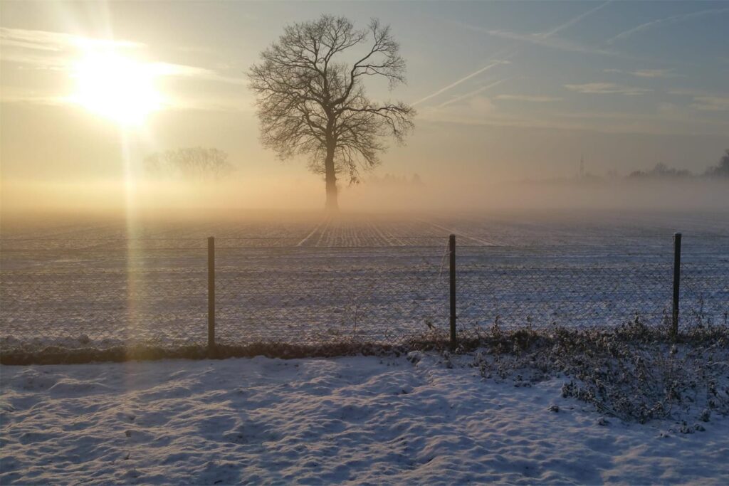 Ein winterlicher Sonnenaufgang in Dortmund Husen.