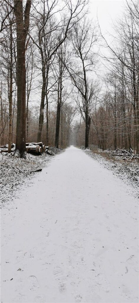Der Rahmer Wald in Huckarde eignet sich für einen schönen Spaziergang im Schnee.