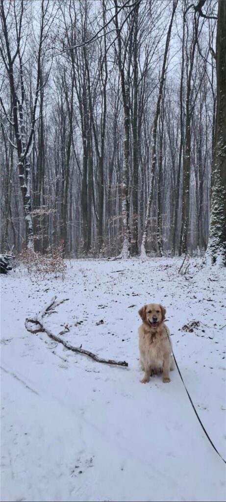 Gemeinsam mit ihrem Hund genießt Jasmin Birkner den Schneetag im Naturschutzgebiet Bolmke.