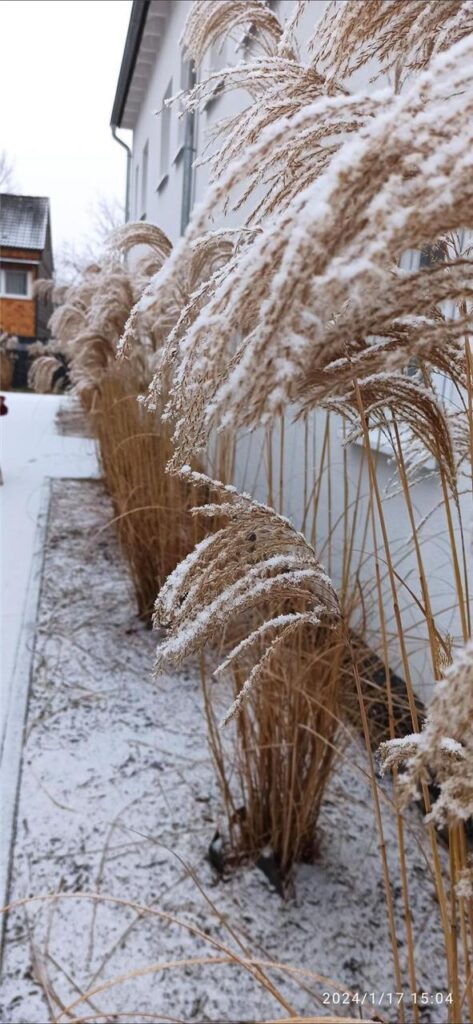 In vielen Dortmunder Wohngebieten liegt Schnee.