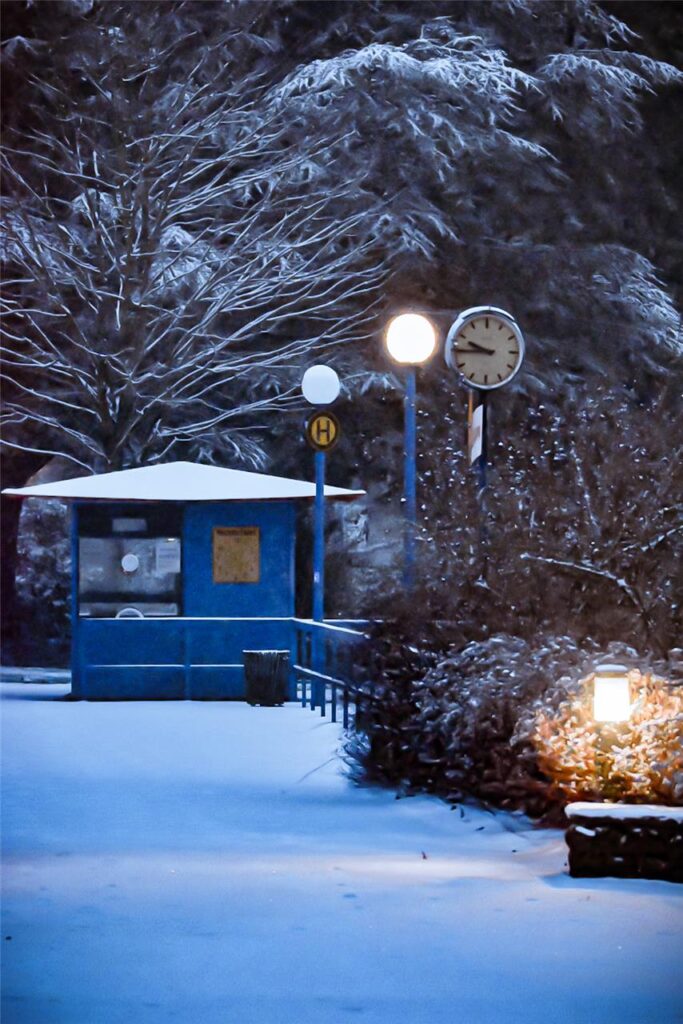 „Einige Schneeimpressionen aus dem Westfalenpark", Jennifer Wulf.