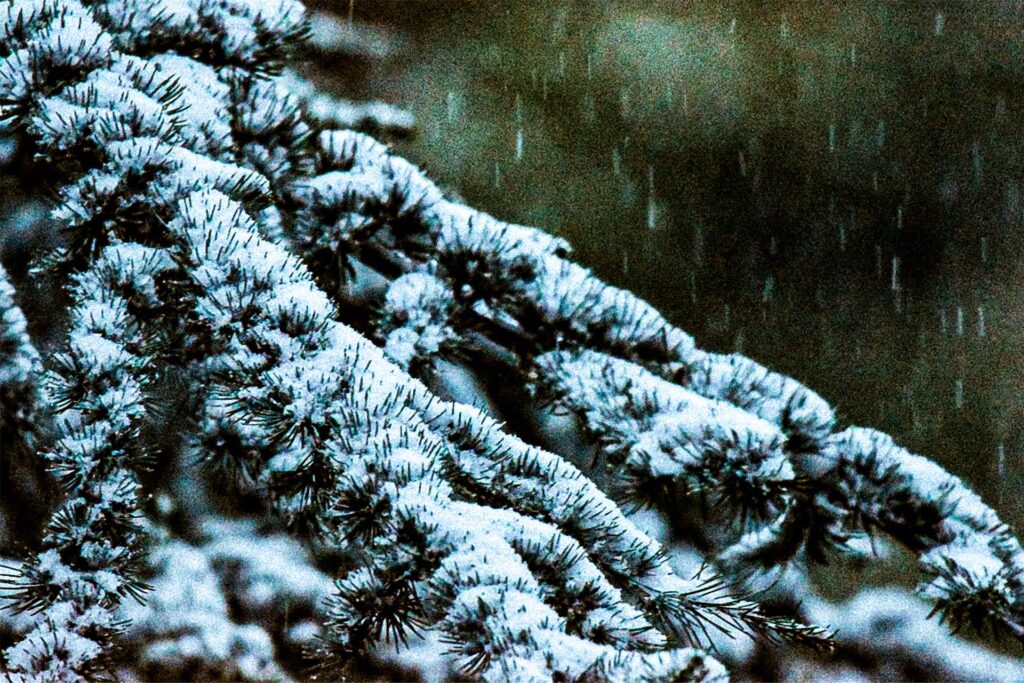 „Einige Schneeimpressionen aus dem Westfalenpark", Jennifer Wulf.