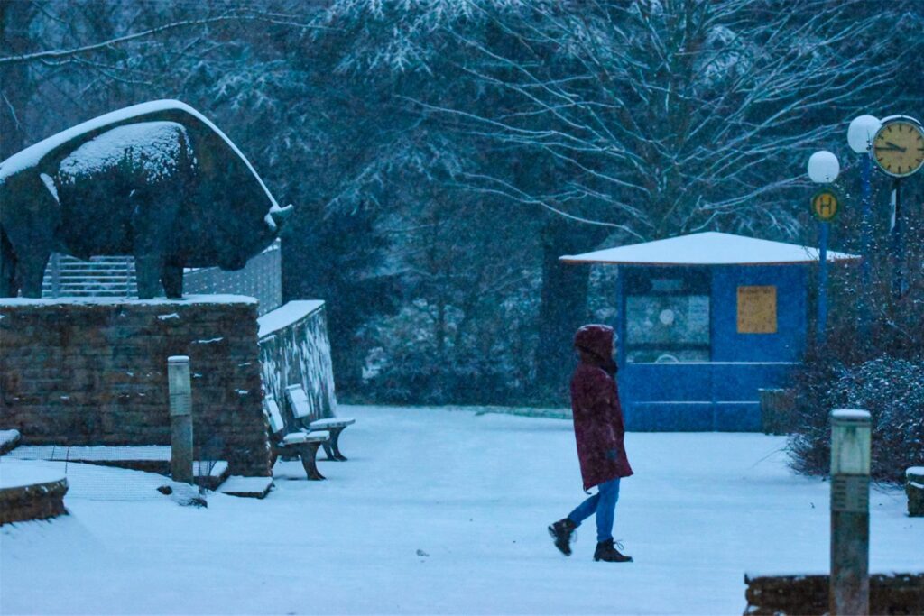 „Einige Schneeimpressionen aus dem Westfalenpark", Jennifer Wulf.