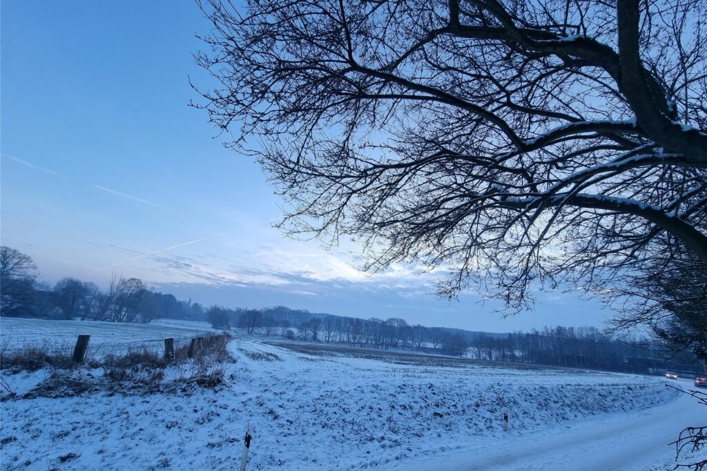 Weiße Winterlandschaften in Wellinghofen.