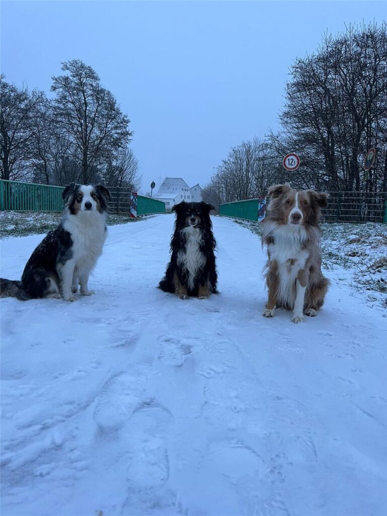Die Drei haben auch Spaß im Schnee.