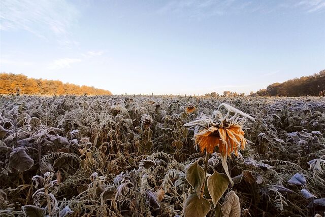 Dieses Winterfoto schickte uns Jörg Seiler. Es entstand am Strock in Wulfen.