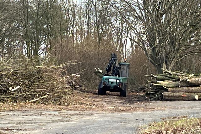 Forstfahrzeug holt Bäume aus dem Wald.