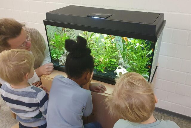 Aquarium in der St. Agatha Kita in Dorsten