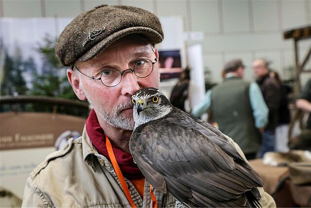 Ein Falkner mit einem Greifvogel auf der Messe Jagd und Hund in den Westfalenhallen in Dortmund.