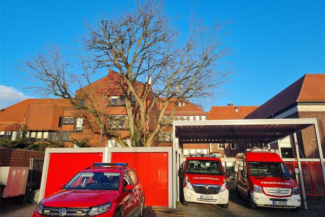 Baum an der Feuerwache Haltern.