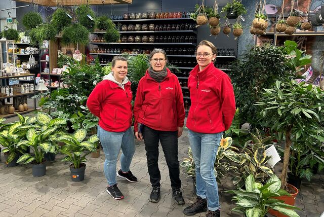 Drei Mitarbeiterinnen eines Gartencenters stehen zwischen Zimmerpflanzen.