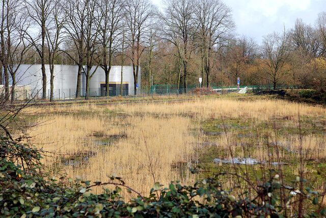 Auf diesem Gelände an der Wasserwerkstraße (auf Höhe der Kläranlage Haltern Mitte) soll der Betriebshof des Lippeverbandes gebaut werden.