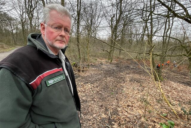 Revierförster Matthias Klar erklärt die Baumfällungen im Grutholz und Nachpflanzungen von über 5000 Bäumen im Castroper Holz.
