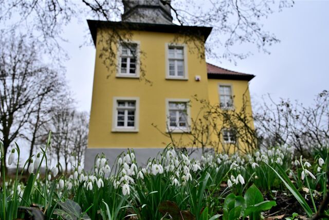 Frühling im Ostvest
