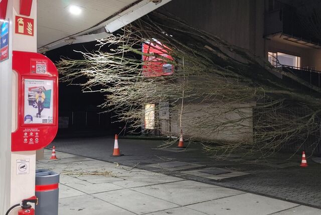 Während des Unwetters am Donnerstagabend (22. Februar) stürzte dieser Baum an der Carl-Duisberg-Straße um.